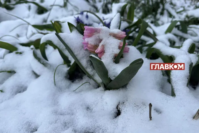 Baśniowa zima w kwietniu: Ukrainę przykryło śniegiem (zdjęcia, wideo)