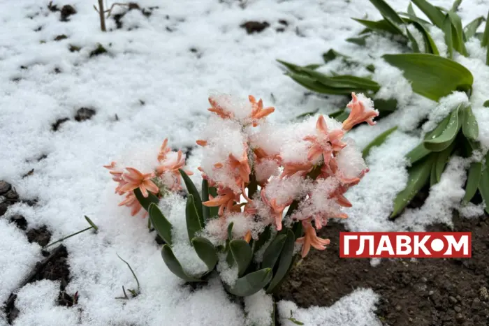 Kwiecień zadziwia: czwarty dzień z rzędu Ukraina zasypywana jest śniegiem (zdjęcie)